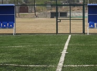 Real Grass